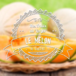 E-liquide Melon - VDLV