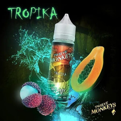 Queen Soko de Twelve Monkeys - 50ml