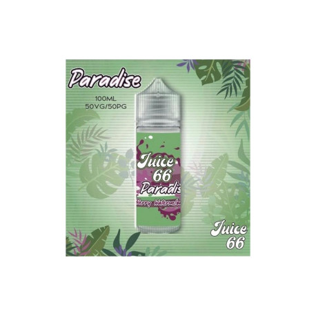 Berry Watermelon 100 ml - Juice 66